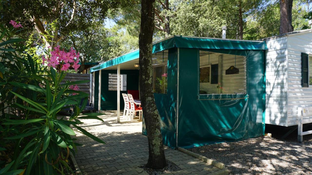 Chalets Met Buitenkeuken Op Camping Lei Suves - Joycasa Рокбрюн-сюр-Аржан Экстерьер фото