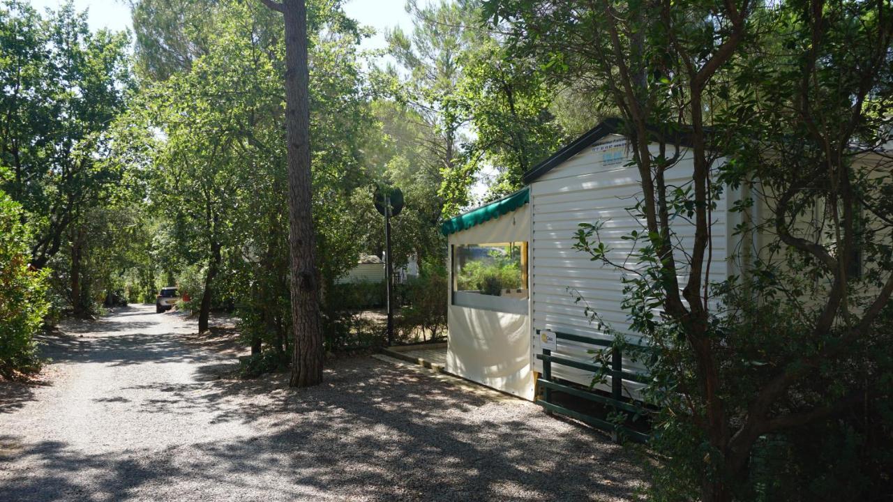 Chalets Met Buitenkeuken Op Camping Lei Suves - Joycasa Рокбрюн-сюр-Аржан Экстерьер фото