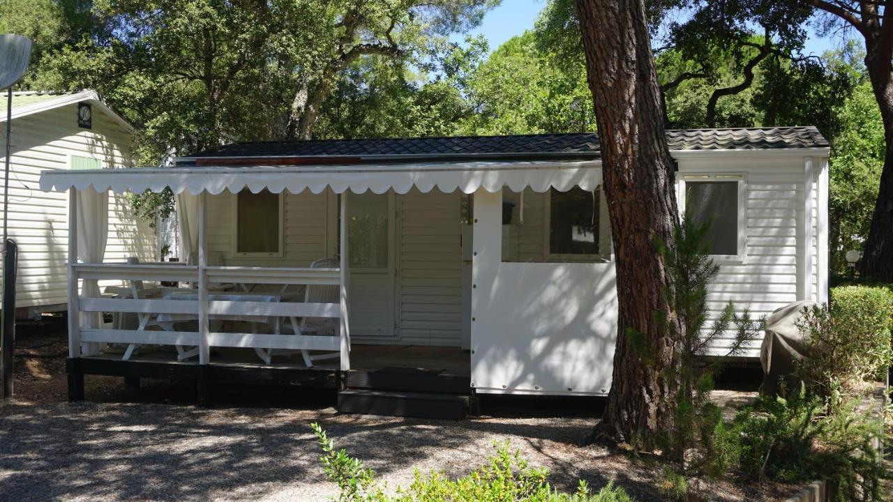Chalets Met Buitenkeuken Op Camping Lei Suves - Joycasa Рокбрюн-сюр-Аржан Экстерьер фото