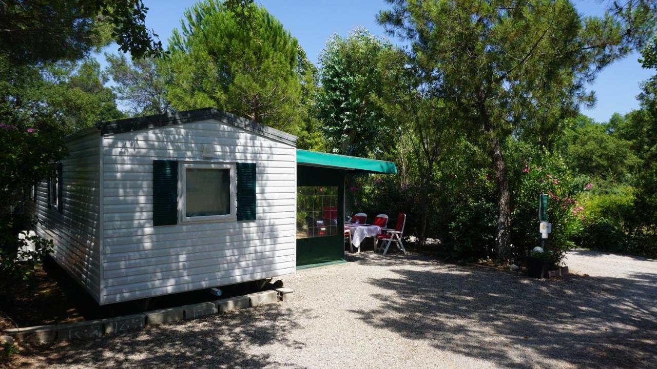 Chalets Met Buitenkeuken Op Camping Lei Suves - Joycasa Рокбрюн-сюр-Аржан Экстерьер фото