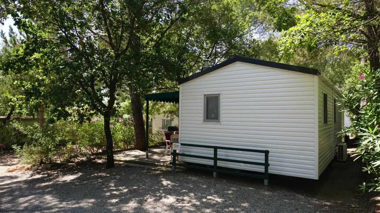 Chalets Met Buitenkeuken Op Camping Lei Suves - Joycasa Рокбрюн-сюр-Аржан Экстерьер фото